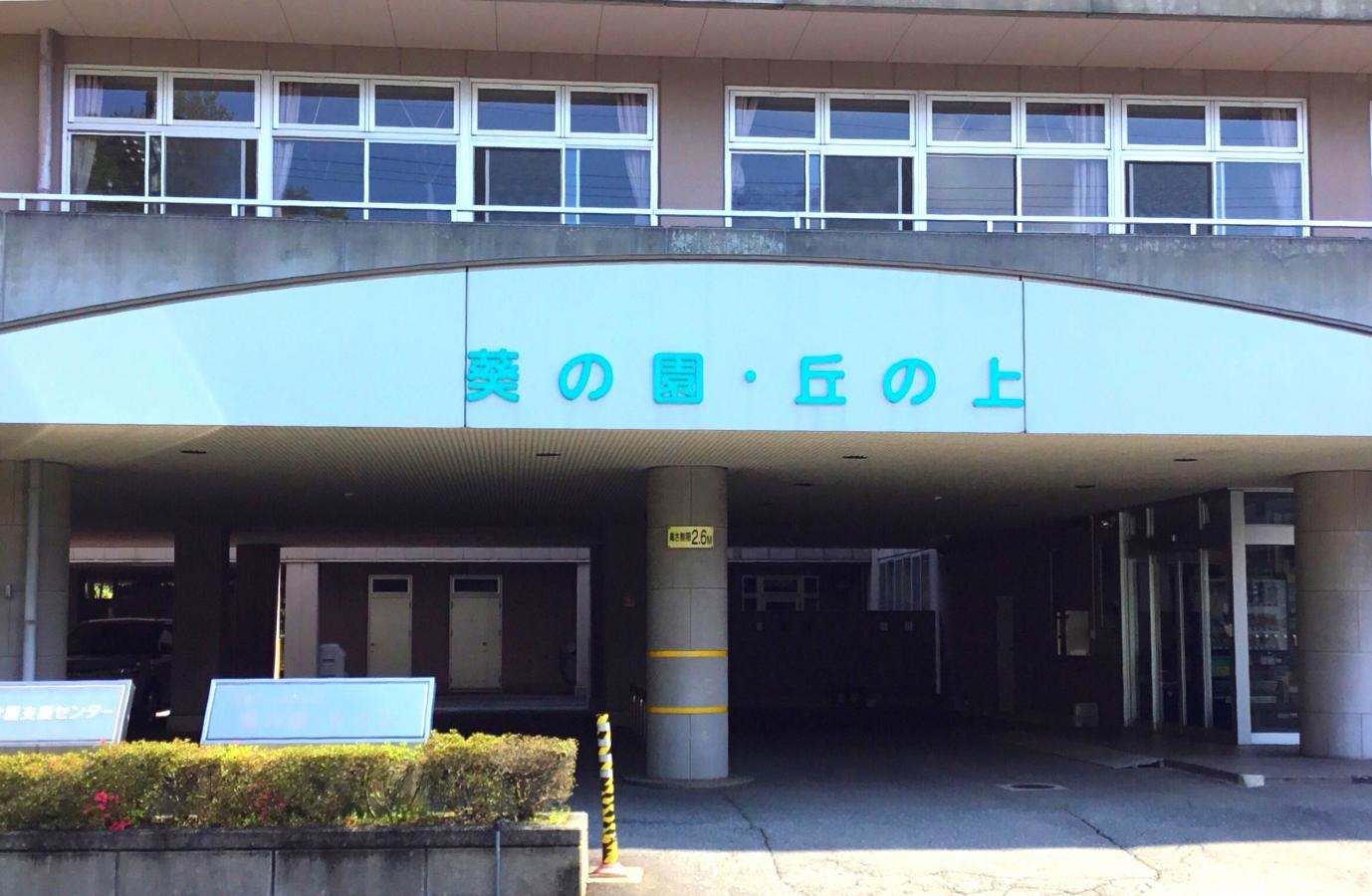 葵の園・丘の上