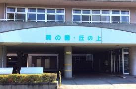 葵の園・丘の上