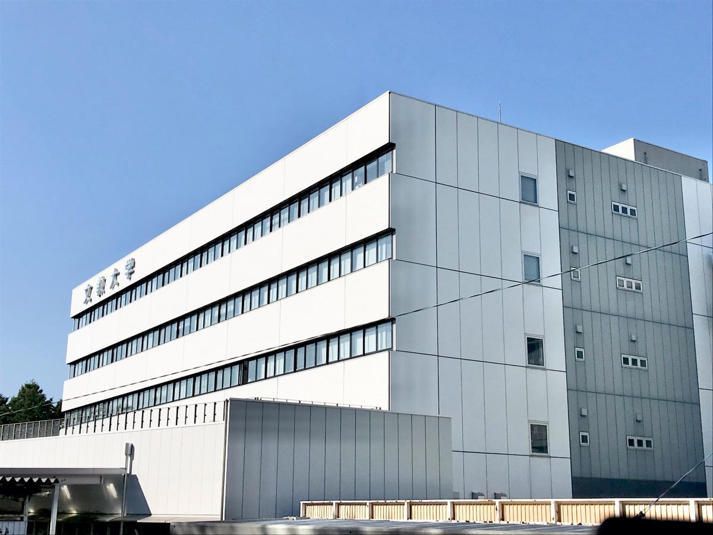 文教 大学 越谷 キャンパス