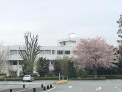 山梨県立博物館