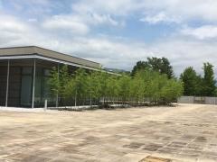 山梨県立博物館