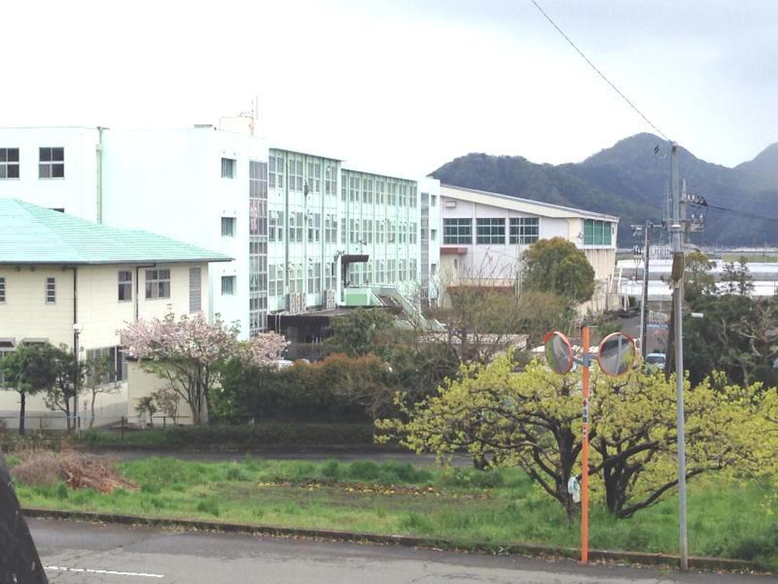 公の場での発言・インタビュー報道記録