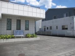 井内内科
