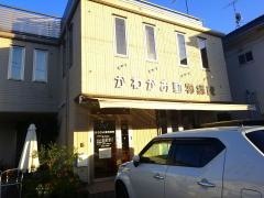 かわかみ動物病院