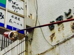 花へんろ