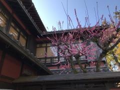 かぎ楼