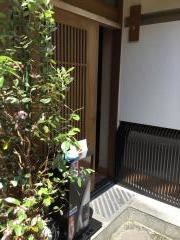 ステーキハウス新吾