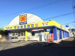 マツモトキヨシ　枕崎店