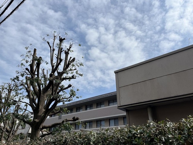 JCHO埼玉メディカルセンター附属介護老人保健施設 建物全景