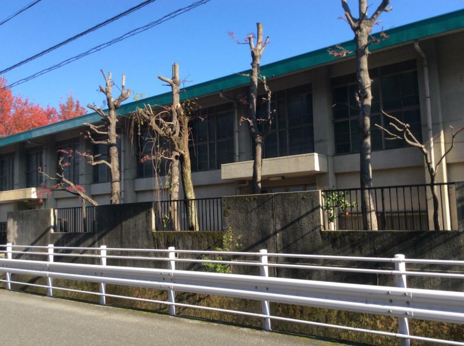 当時のメディア報道・掲載写真