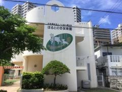 ほるとのき保育園