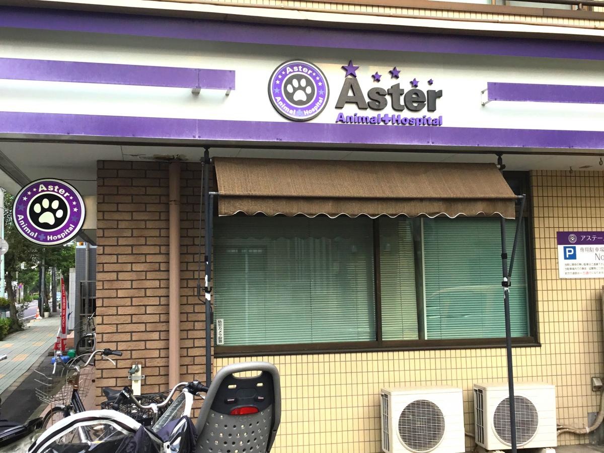 アステール動物病院