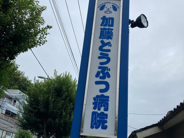 投稿写真5