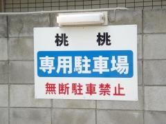 桃桃
