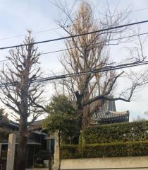 「正見寺」バス停留所