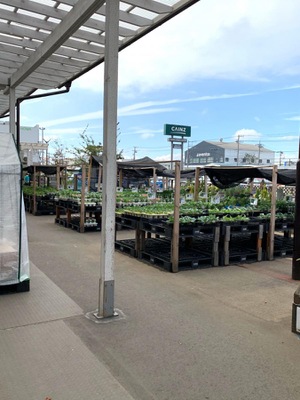 マーケットピア カインズ 船橋習志野店 船橋市習志野