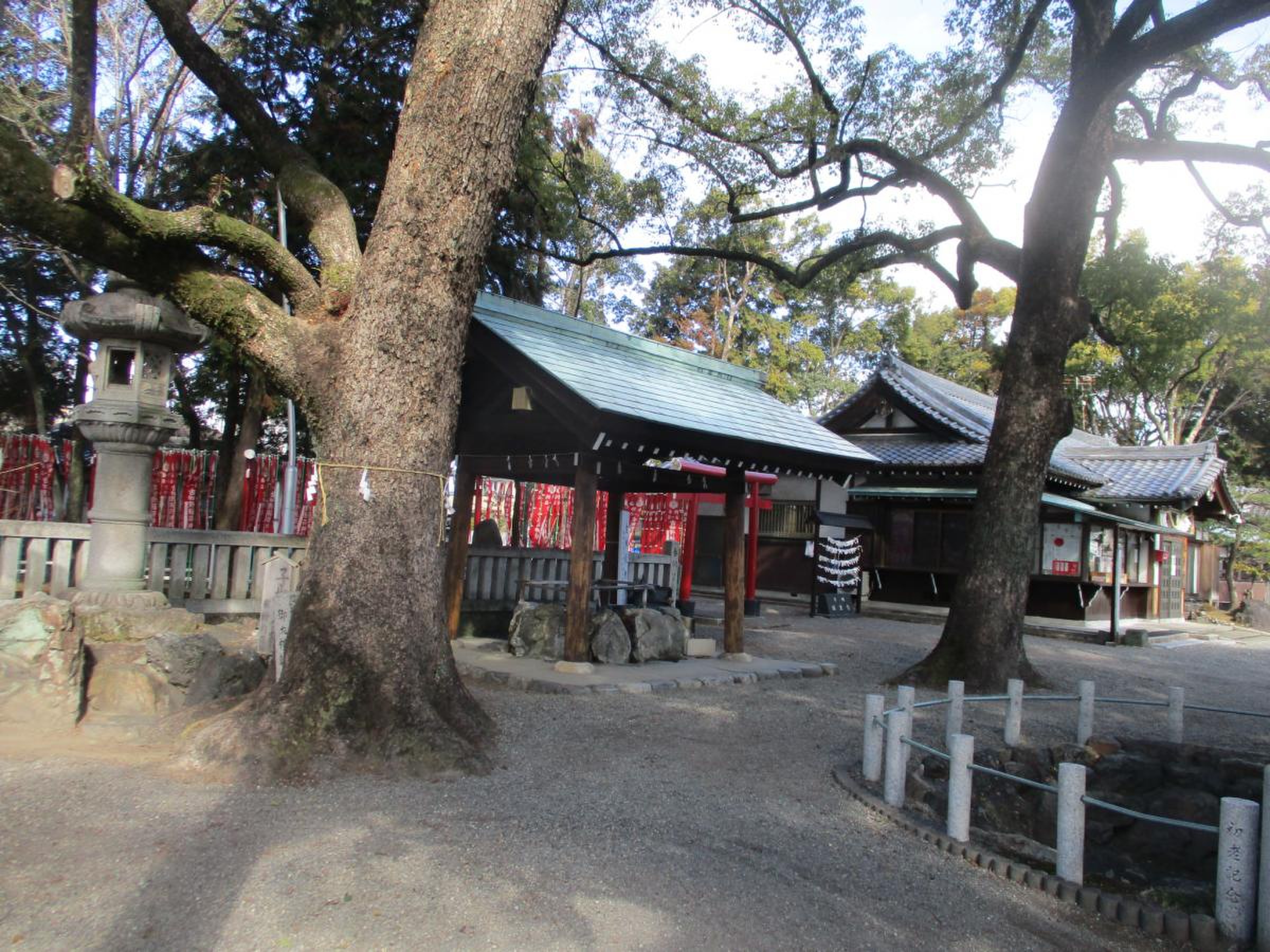 江南市・古知野神社の歴史とご利益の真相！御朱印やアクセス徹底解説