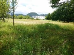 流通西公園