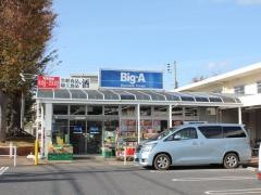 ビッグ・エー　船橋高根台店