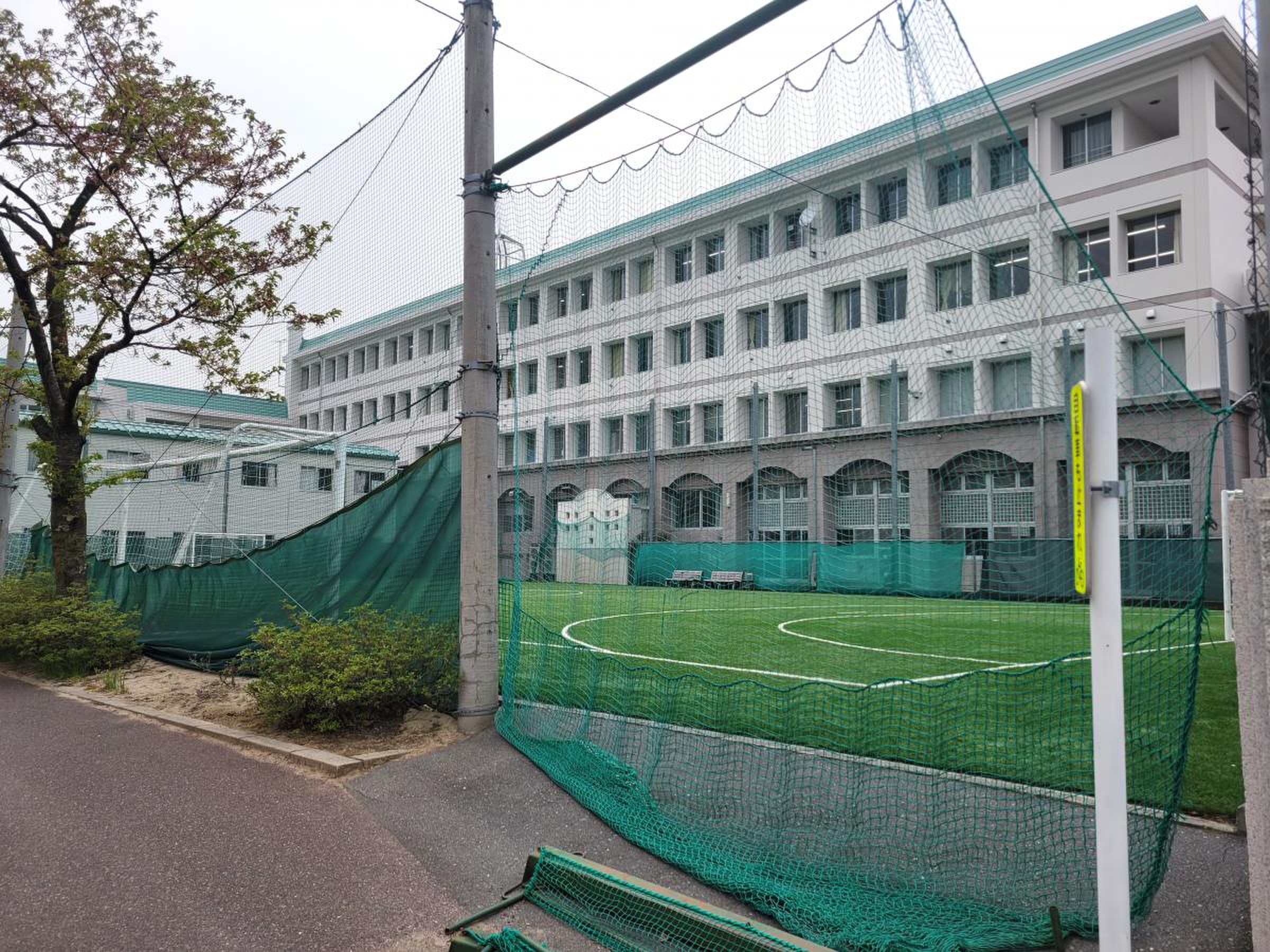 公の場での発言・インタビュー報道記録