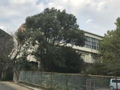 田原南部小学校