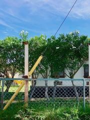 伊保小学校
