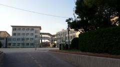 緑小学校