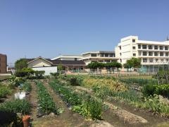 谷八木幼稚園