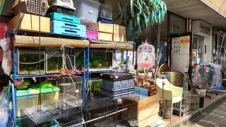 バードセンター　やまもと