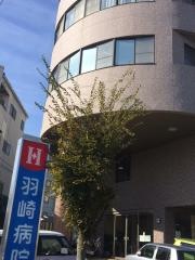 羽崎病院