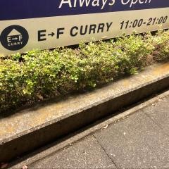 イーエフカレー　富士店