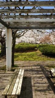 松ケ池公園
