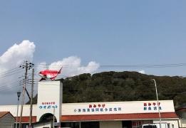 活き活き小湊ウオポート