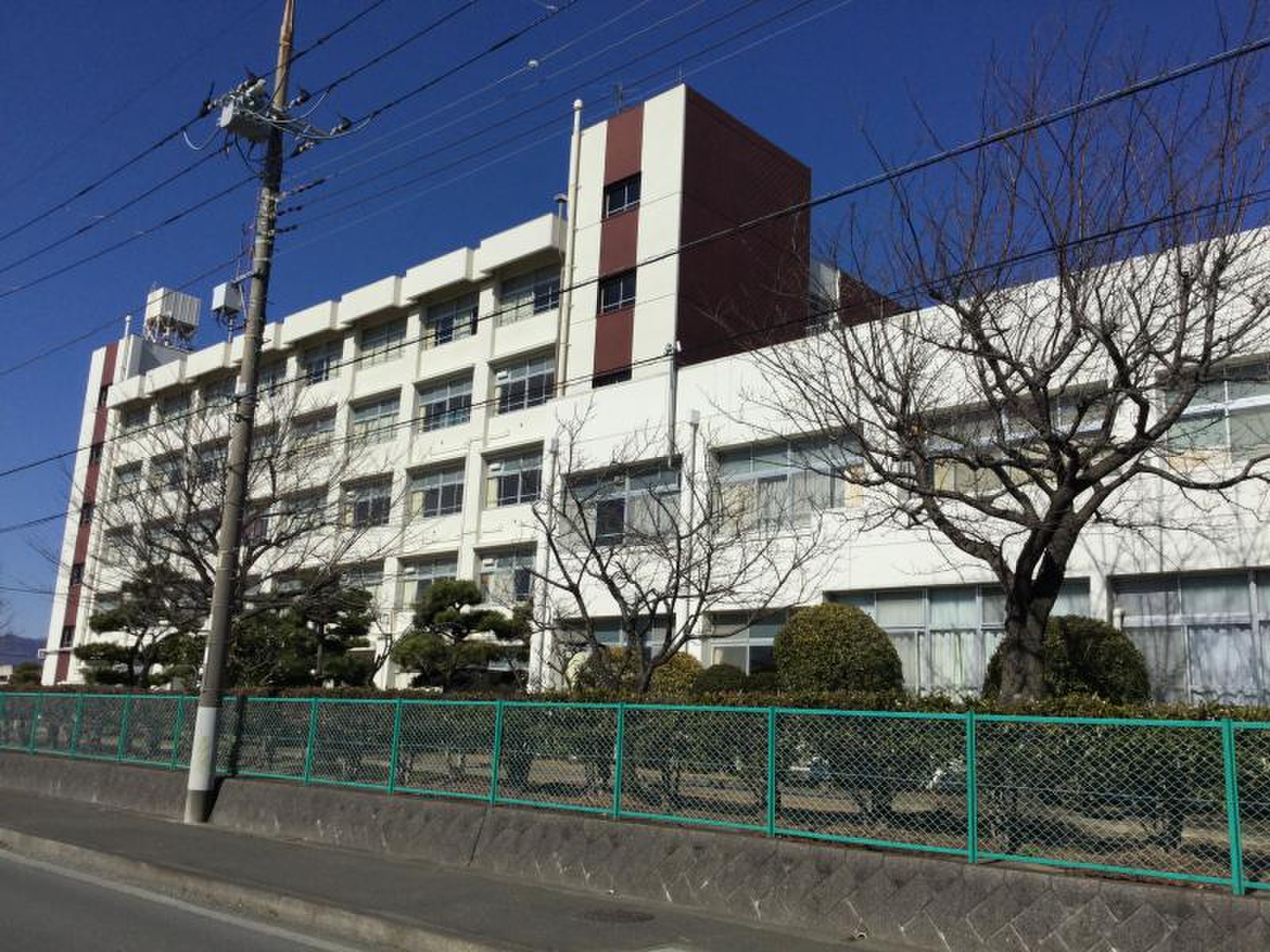 活動歴および当時の関連ビジュアル記録