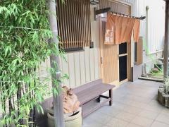 魚菜宿大鯛