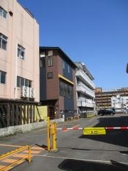 レコルタカーブドッチ