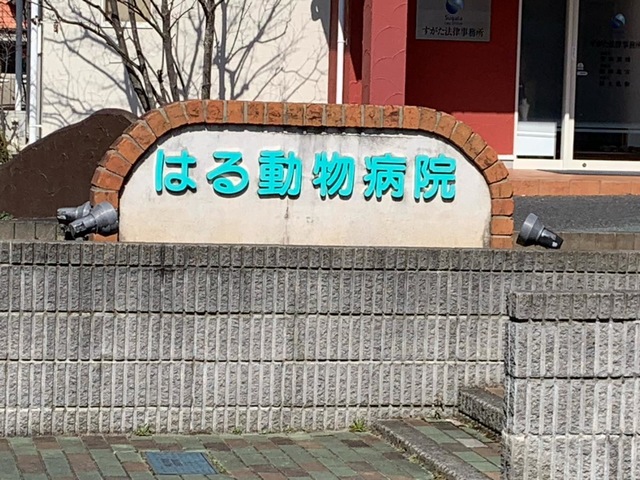 施設写真10