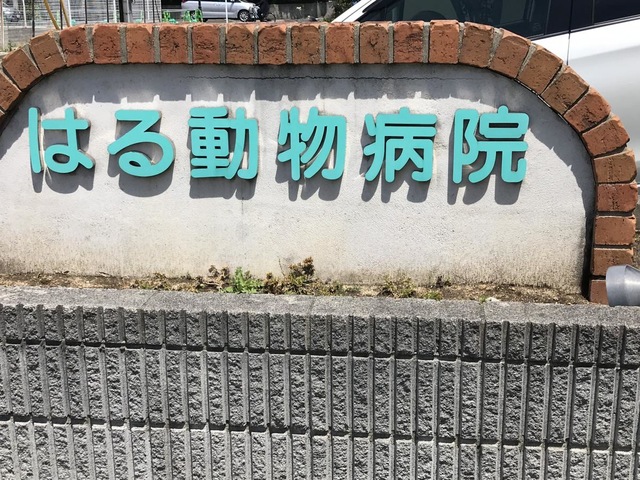 施設写真13