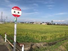 「高桑」バス停留所