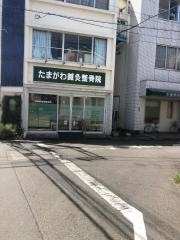 たまがわ鍼灸整骨院