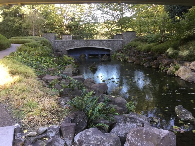 小川