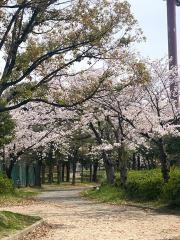 楠公園野球場