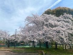 楠公園野球場
