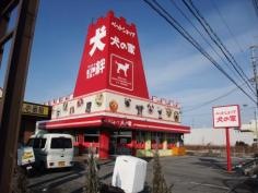 ペットショップ犬の家長浜店