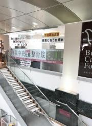 泉中央杜都整骨院