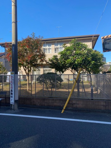 carna国立