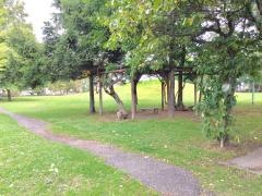 希望公園