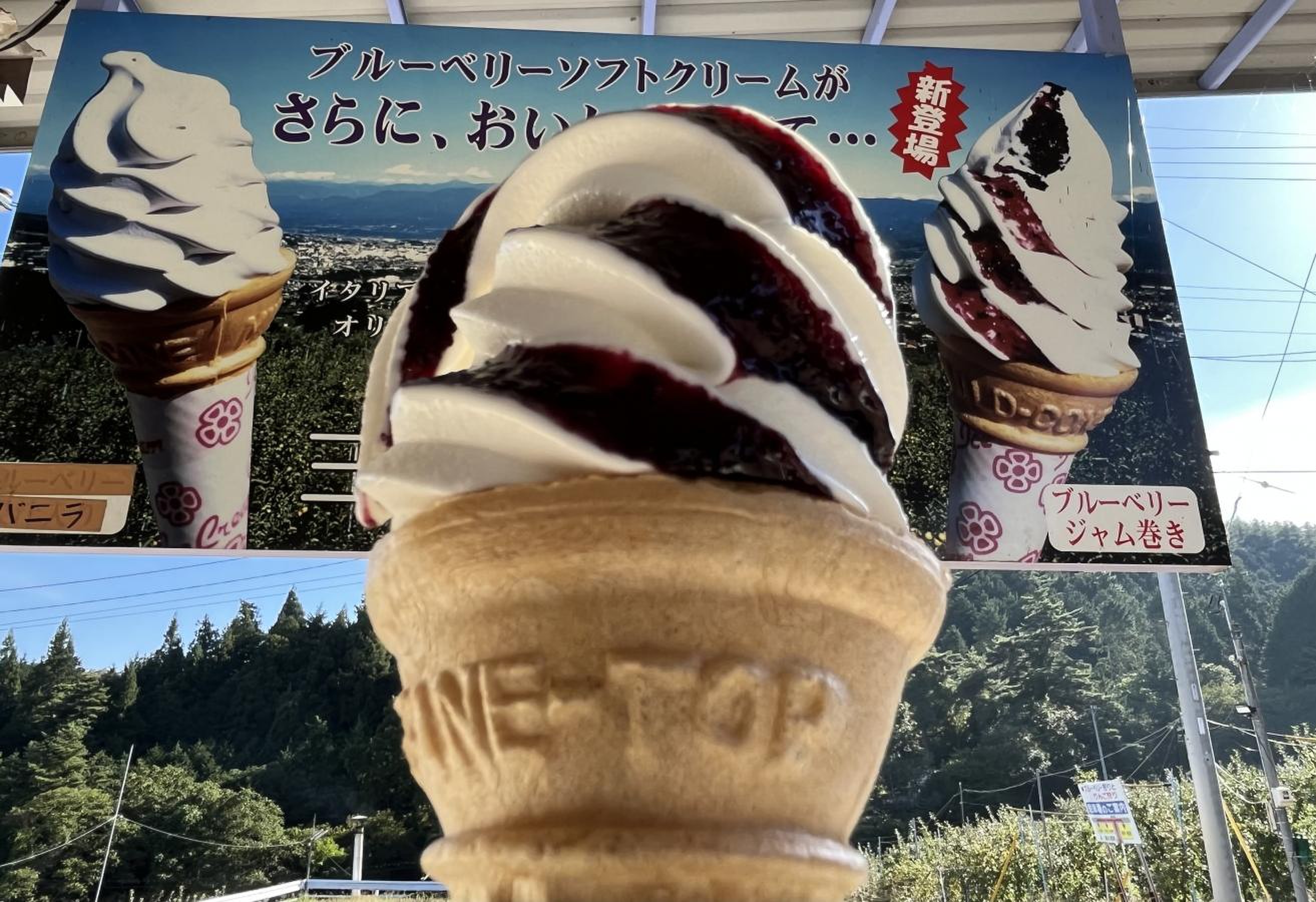 活動歴および当時の関連ビジュアル記録