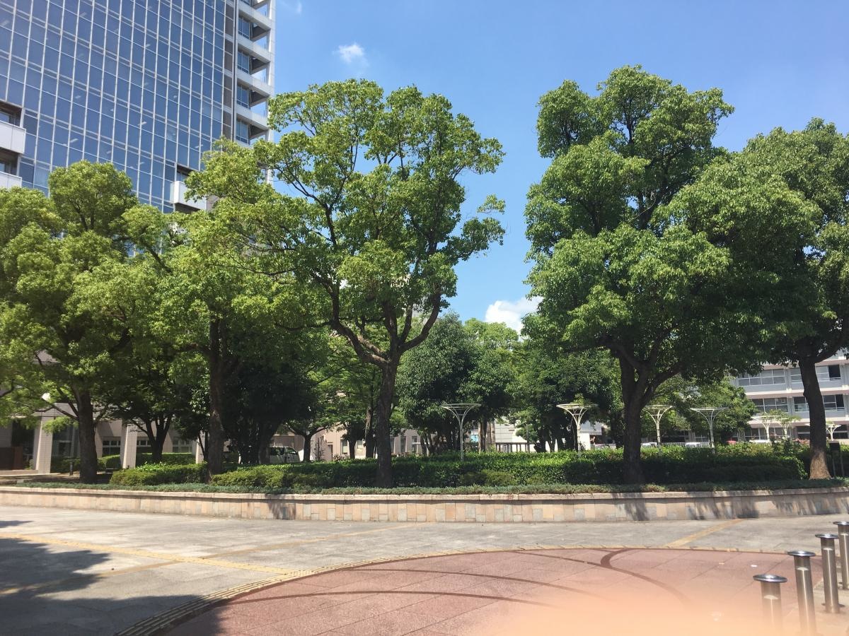 市役所前の緑地です。