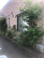 黒川皮膚科クリニック